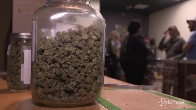 Usa, guerra alla liberalizzazione della marijuana