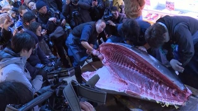 Tokyo, ultima asta nello storico mercato del pesce: venduto tonno gigante di 400 chili