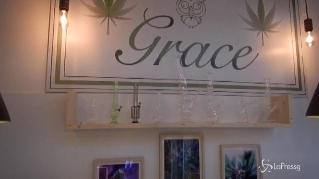 Roma, apre Grace: il negozio che vende marijuana legale