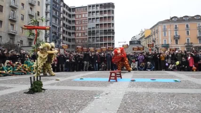 Il Capodanno cinese è a Milano: benvenuto anno del cane