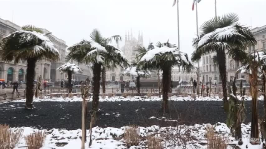 Milano, la neve sulle palma di piazza Duomo