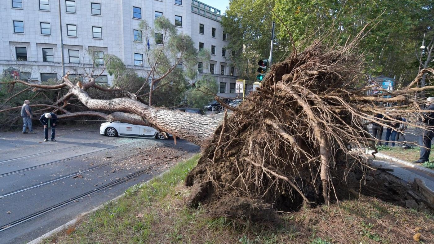 Roma, albero si schianta su auto: ferito un tassista