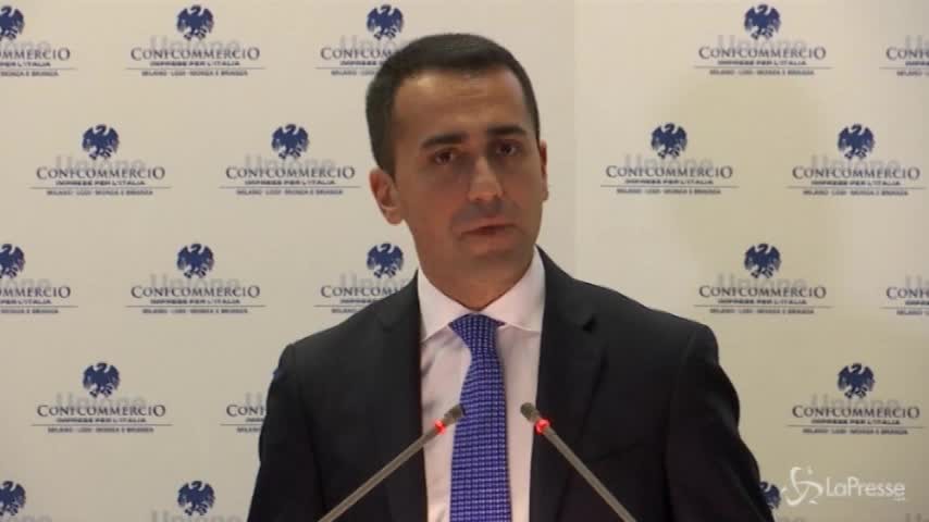 Di Maio: “Ci metteremo meno della Germania a formare un governo”