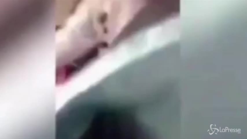 Il video dell’aggressione a Mariam, la studentessa morta a Nottingham
