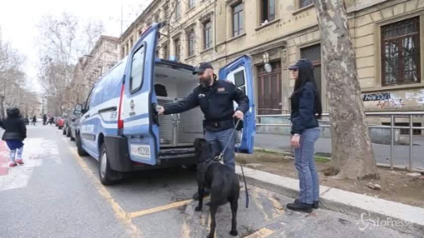 Milano, falso allarme bomba: scuola evacuata