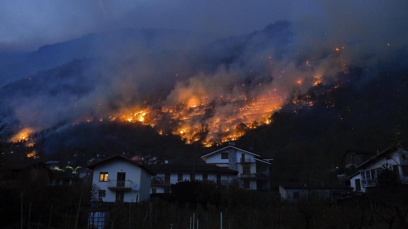 Incendi, l’allarme di Coldiretti: “15 anni per ricostruire boschi in fiamme”