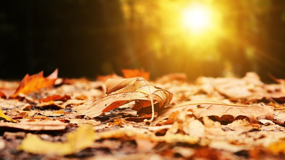 Sole e qualche pioggia al sud: il meteo del 4 e 5 dicembre