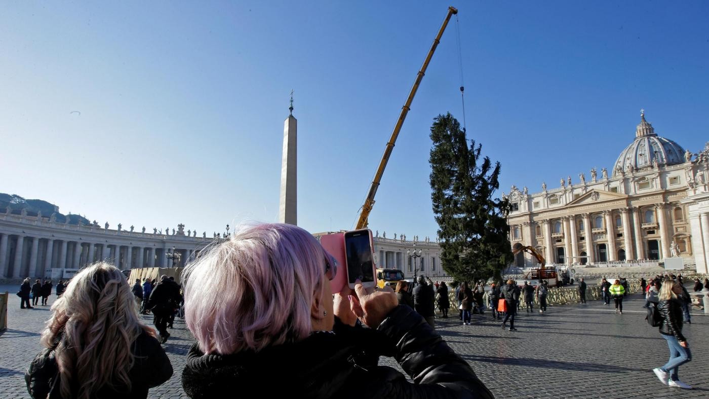Vaticano, l’arrivo dell’albero di Natale in piazza San Pietro