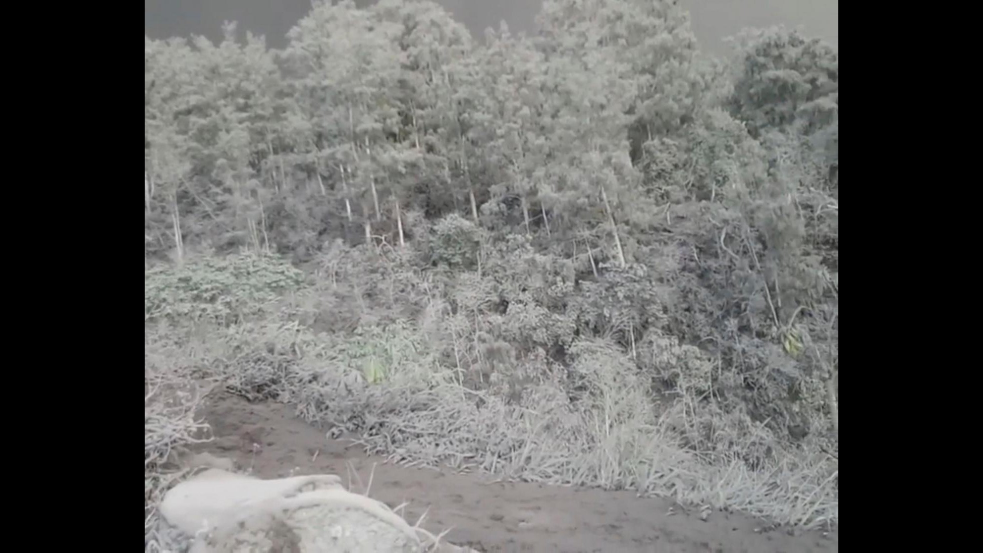Agung, un mondo grigio di cenere dopo l’eruzione