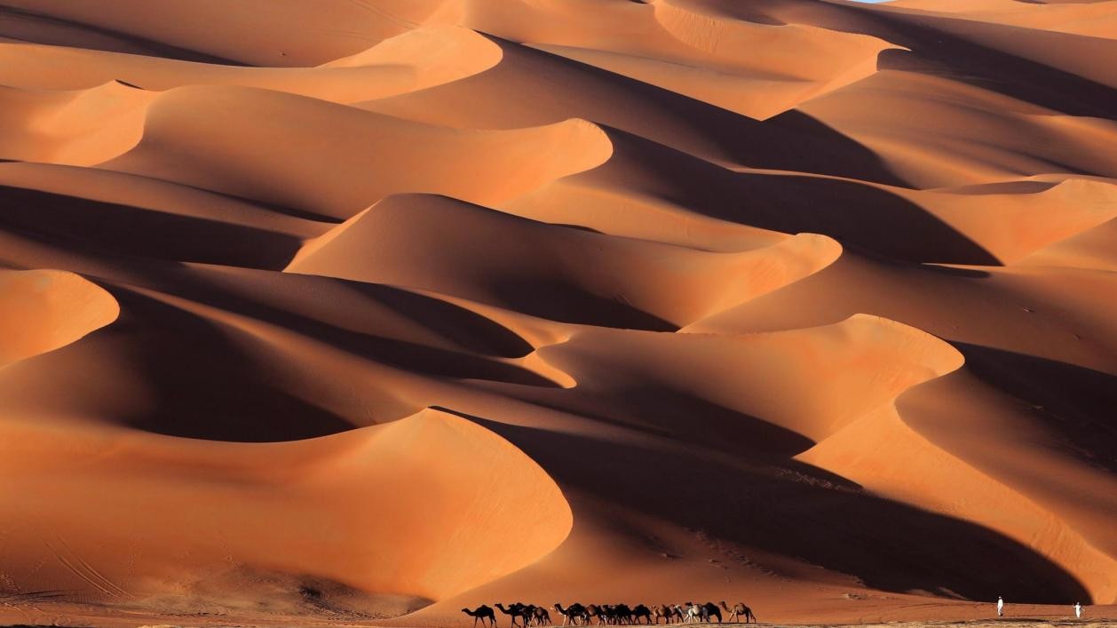 Festival internazionale di Liwa tra le dune di sabbia più alte del mondo