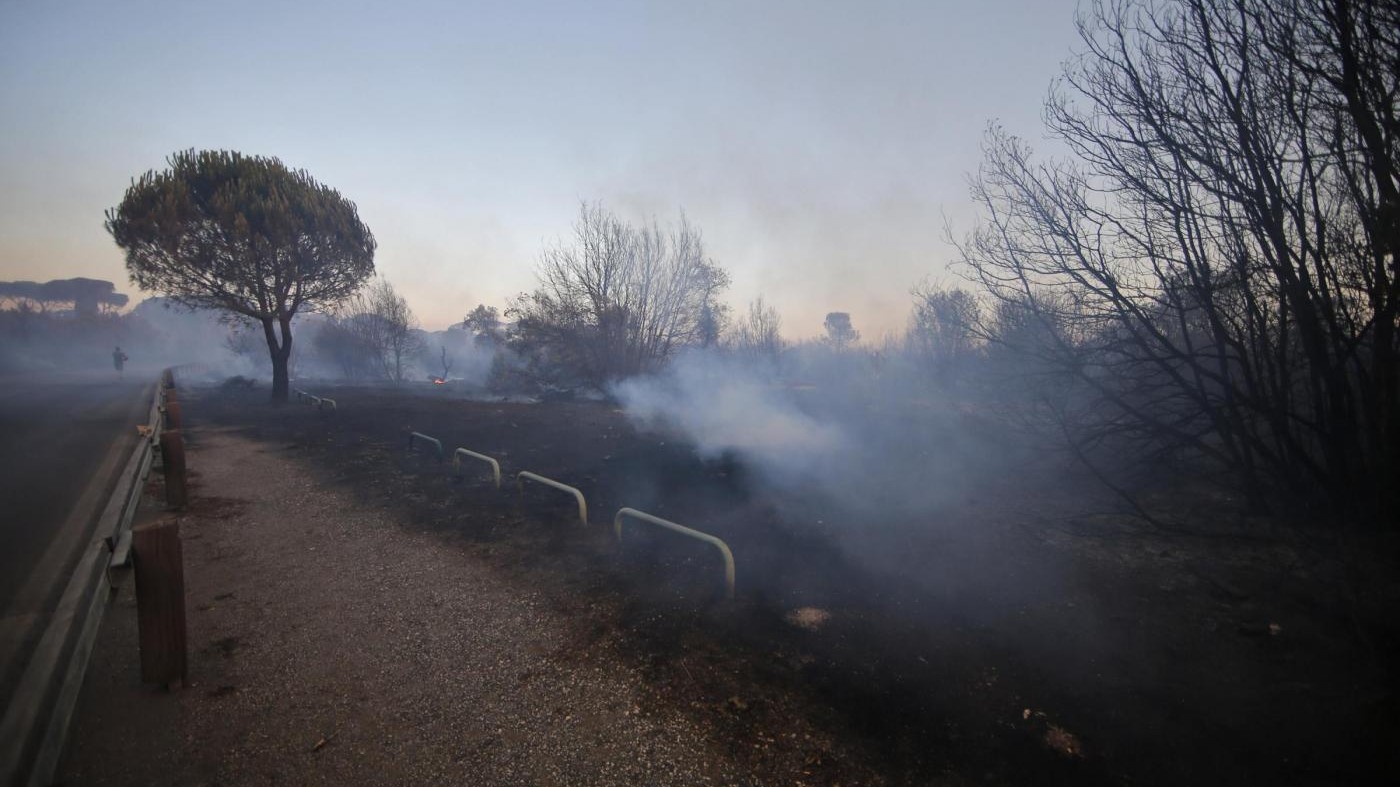 Incendio Castel Fusano, nuovi roghi nella pineta e sul litorale