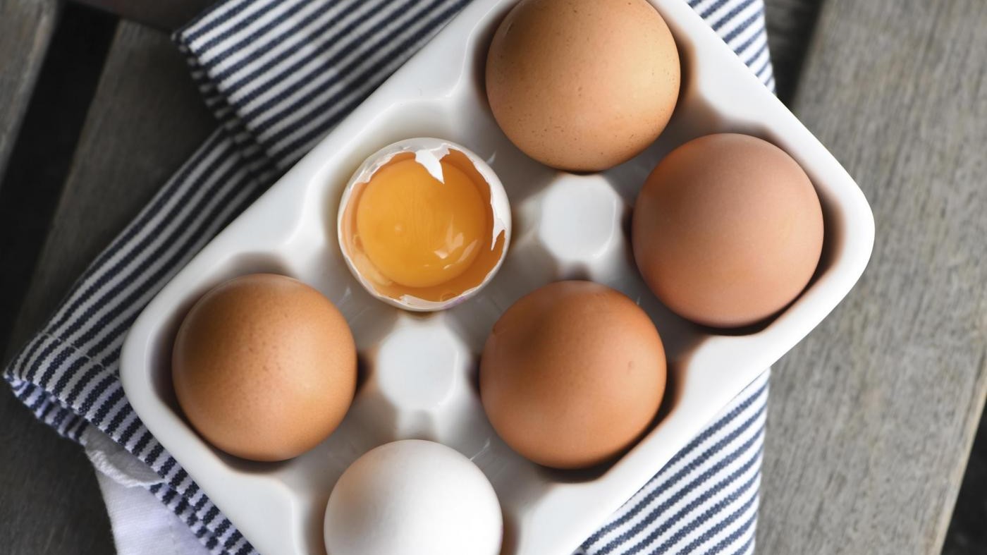 Perquisizioni in Belgio e Olanda: sequestrate uova al Fipronil