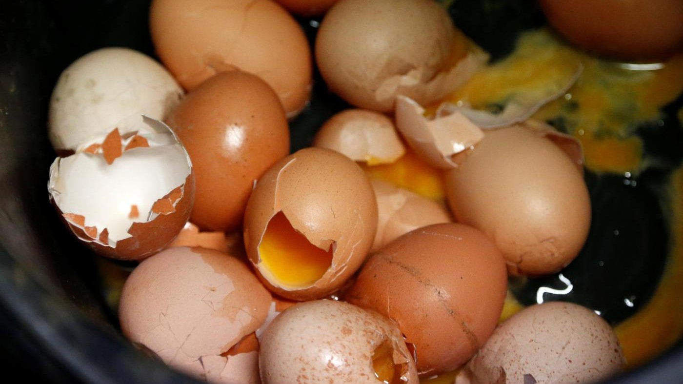 Uova contaminate, paura a tavola per due italiani su tre