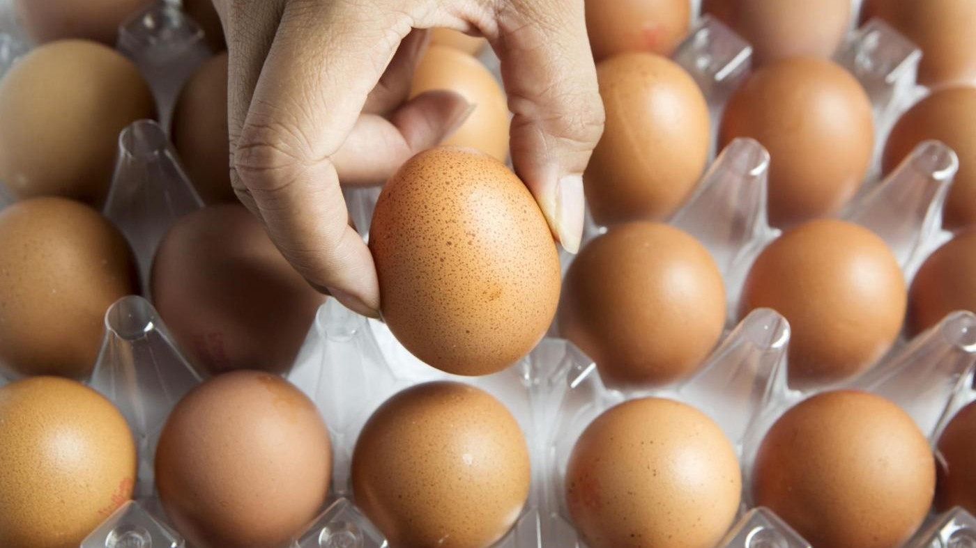 Lorenzin: Siamo pronti a nuovi controlli, ma nostre uova sicure