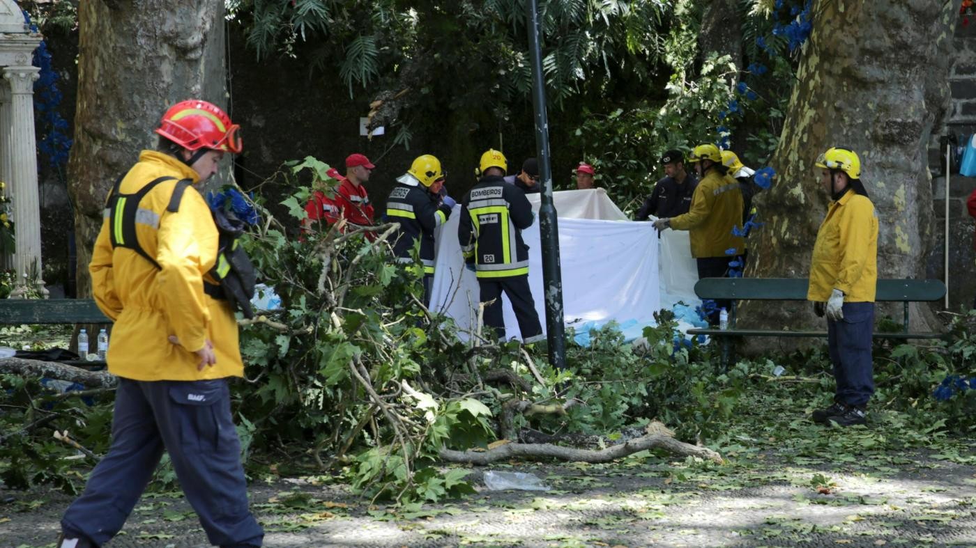 Portogallo, albero cade su folla a festa religiosa Madeira: 12 morti
