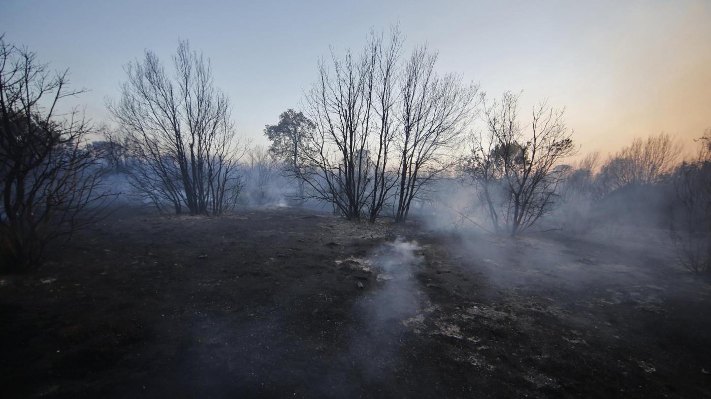 FOTO In fiamme la pineta di Castel Fusano: Raggi sul posto