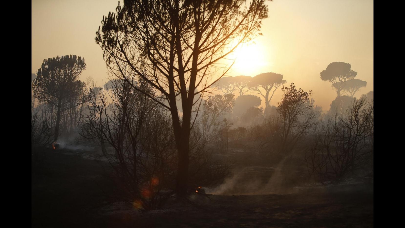 FOTO In fiamme la pineta di Castel Fusano: Raggi sul posto