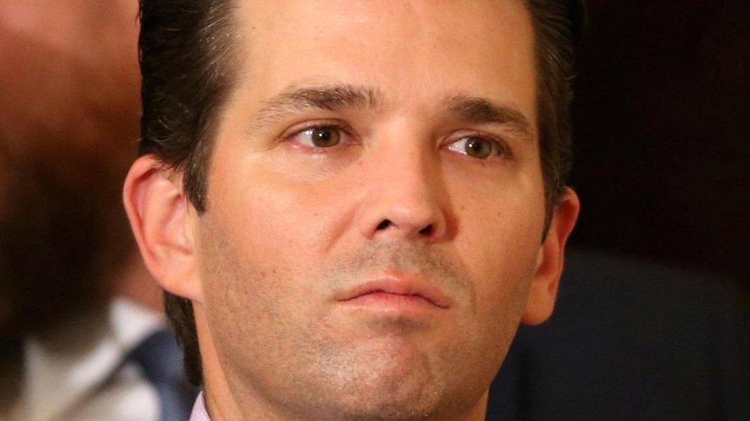 Usa, Nyt: Trump Jr. incontrò legale russa per informazioni su Hillary
