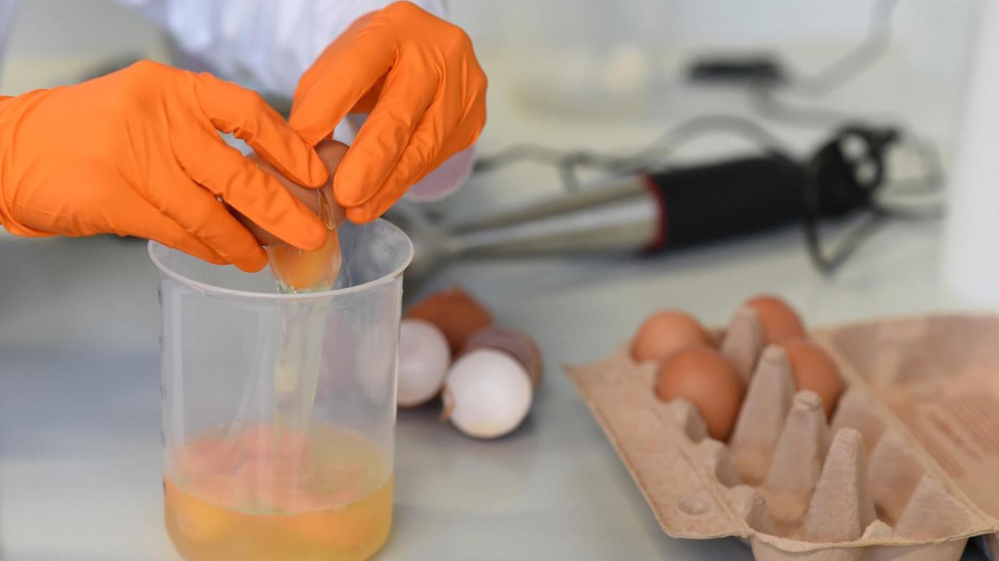 Uova contaminate, trovati in Italia due casi di positività al fipronil