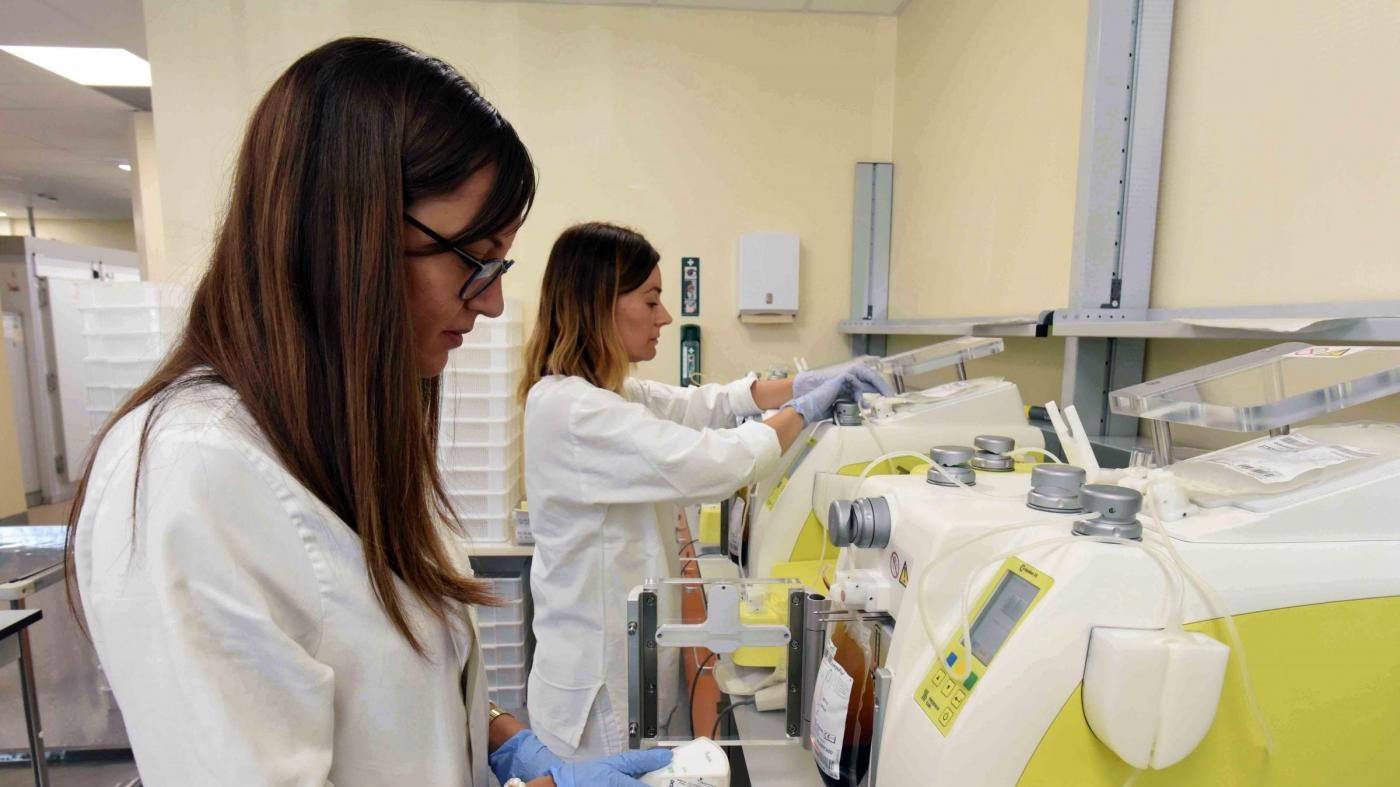 L’autopsia: “Sofia morta per complicanza della malaria”