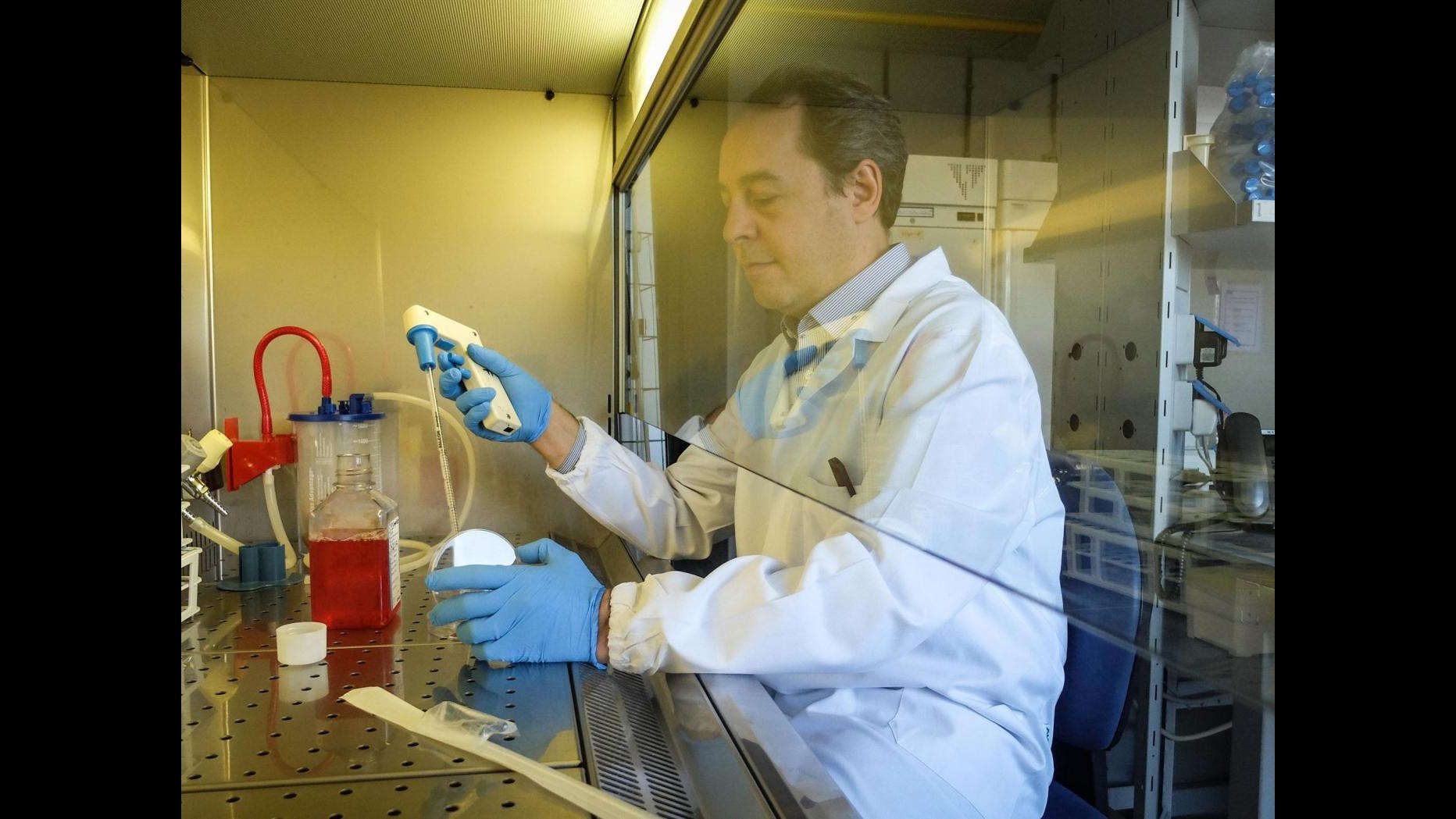 Tumore del polmone, pembrolizumab è efficace: il 50% dei pazienti risponde al farmaco