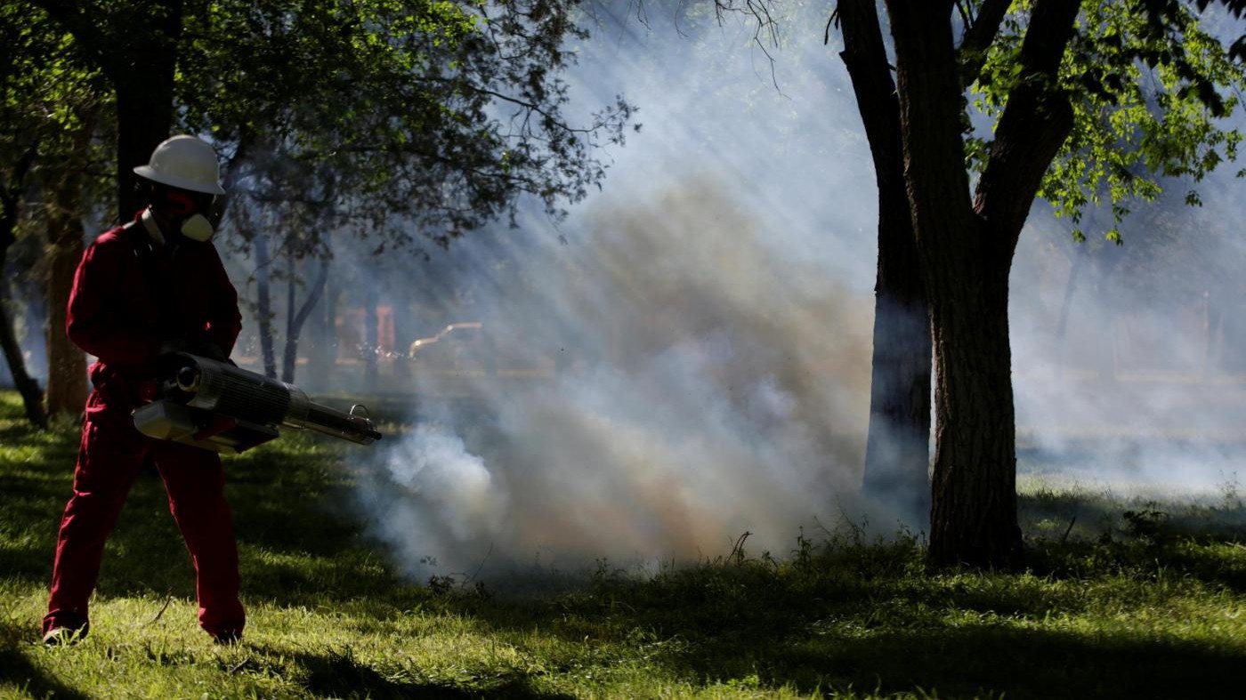 Chikungunya, stop donazione del sangue per 1,2 milioni di romani, 17 casi nel Lazio