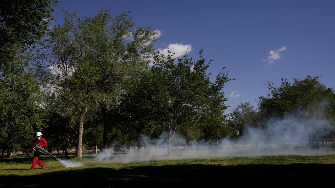 Chikungunya, Regione Lazio: 64 casi accertati, 54 ad Anzio