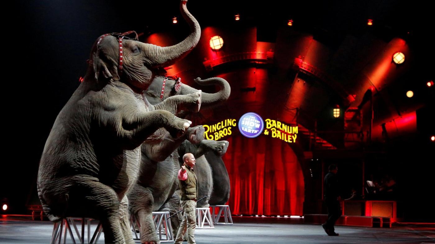 Chiude dopo 146 anni lo storico circo Barnum
