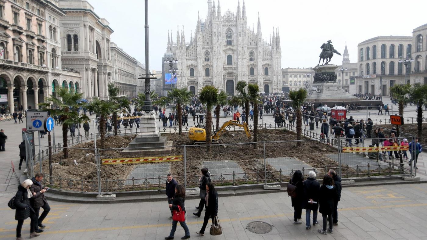 Palme bruciate in Duomo: individuato un gruppo di piromani