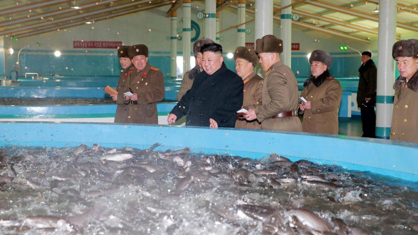 FOTO Nord Corea, Kim Jong-un visita un allevamento di pesci gatto