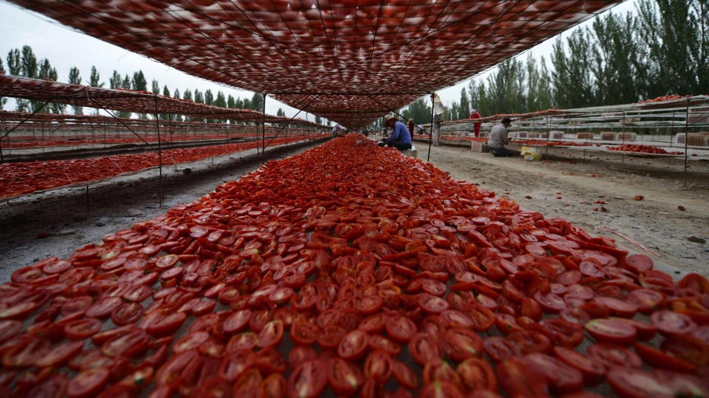 Coldiretti: Cresce business agromafie, affari per 21,8 miliardi