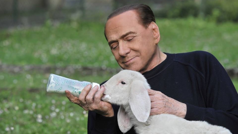 Svolta veg di Berlusconi: Salvati 5 agnelli da pranzo di Pasqua
