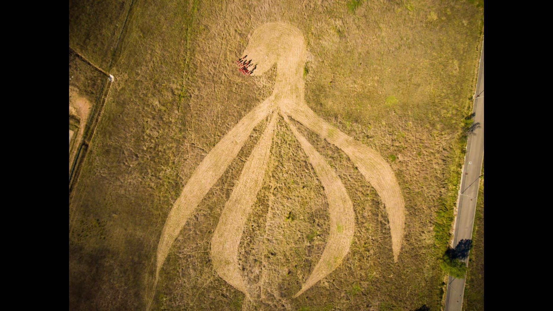 FOTO Clitoride gigante di 120 metri disegnato in un campo contro tabù