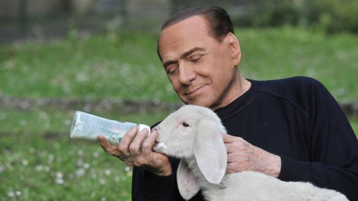 Animalisti lodano Berlusconi: Ha salvato 10mila agnelli dal macello