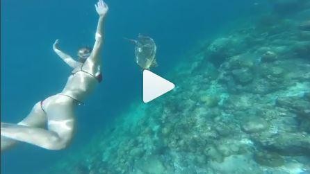 Federica Pellegrini nuota con le tartarughe alle Maldive/ VIDEO