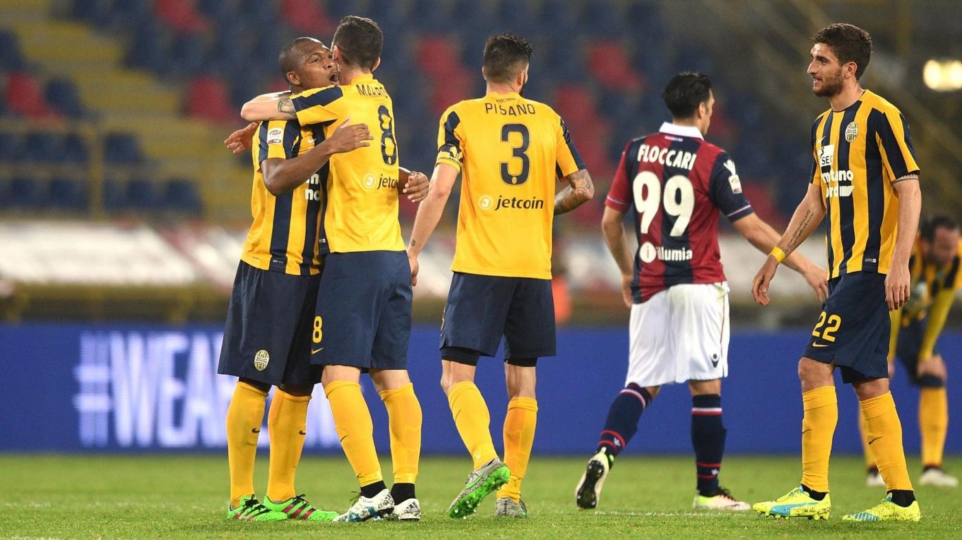 Bologna-Hellas Verona 1-0