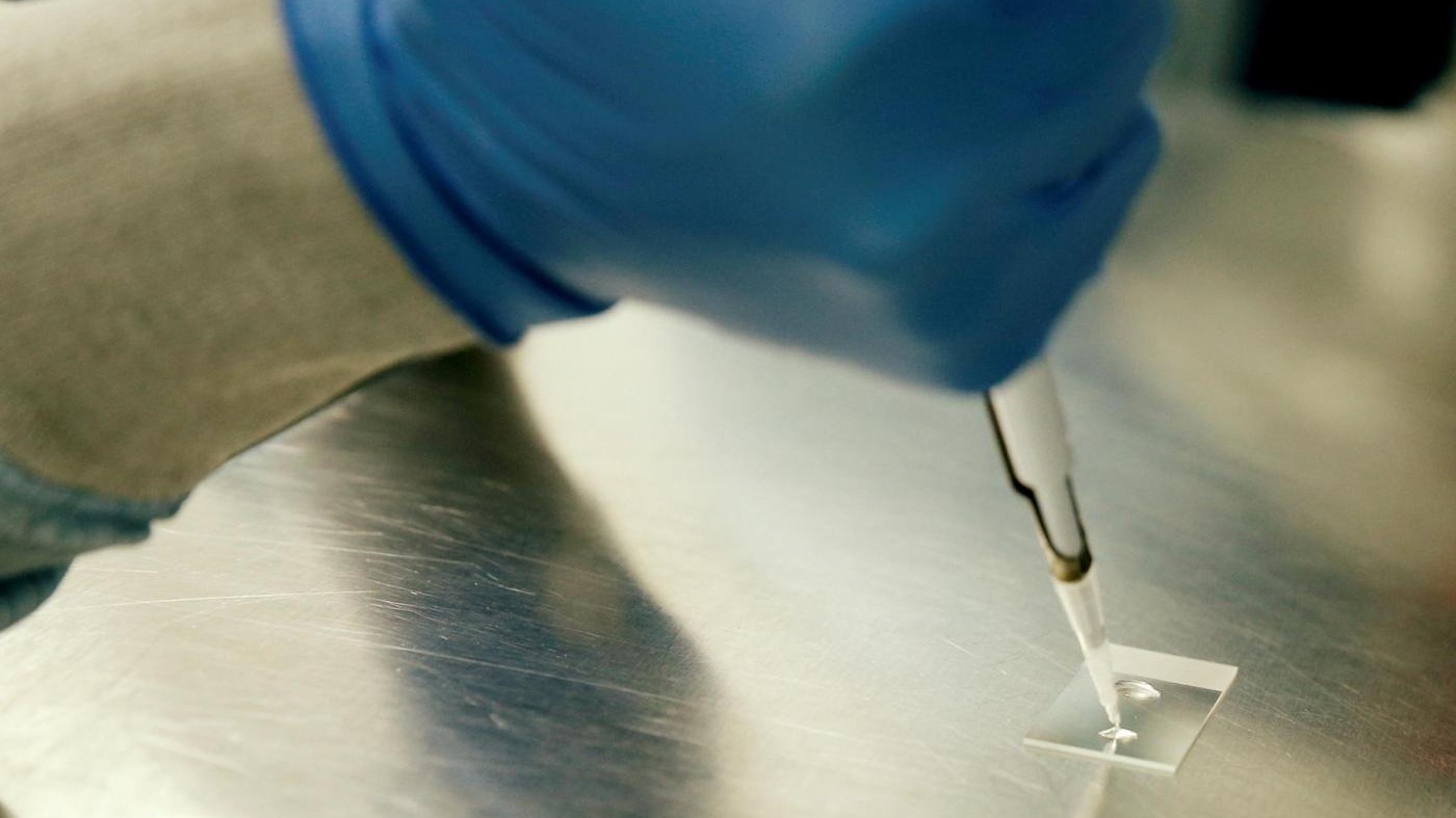 Istat: Nel 2014 in Italia sale la spesa per ricerca e sviluppo