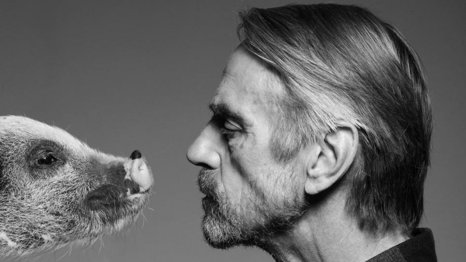 FOTO Jeremy Irons posa con maialino per campagna sensibilizzazione