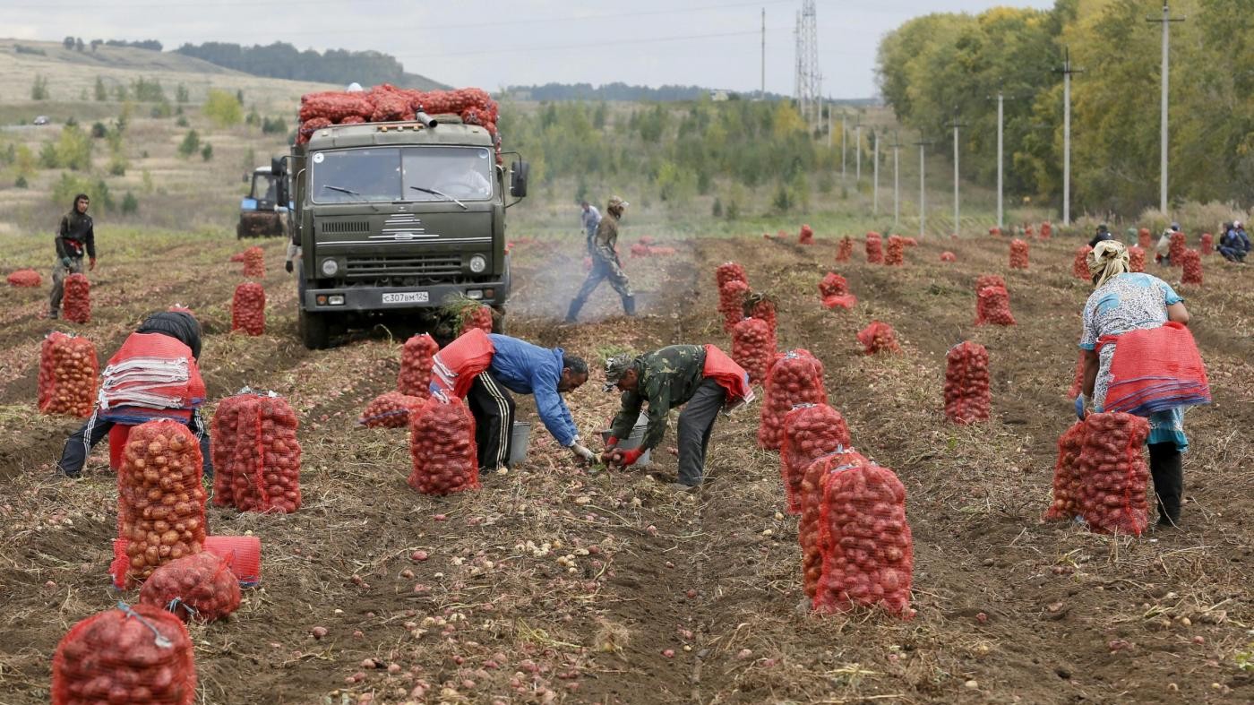 Via libera a ddl caporalato: carcere fino a 6 anni per gli sfruttatori