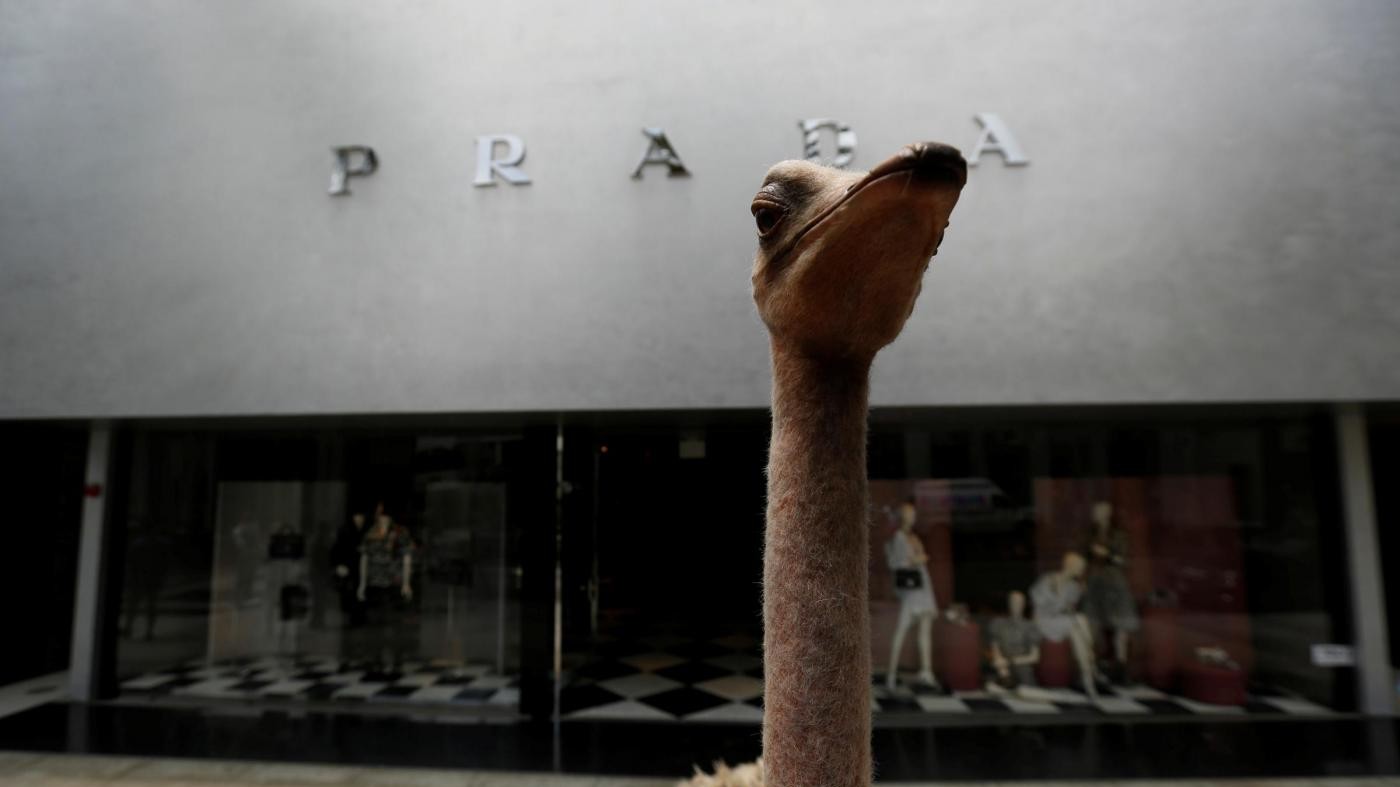 FOTO Beverly Hills, animalisti contro borse di struzzo Prada