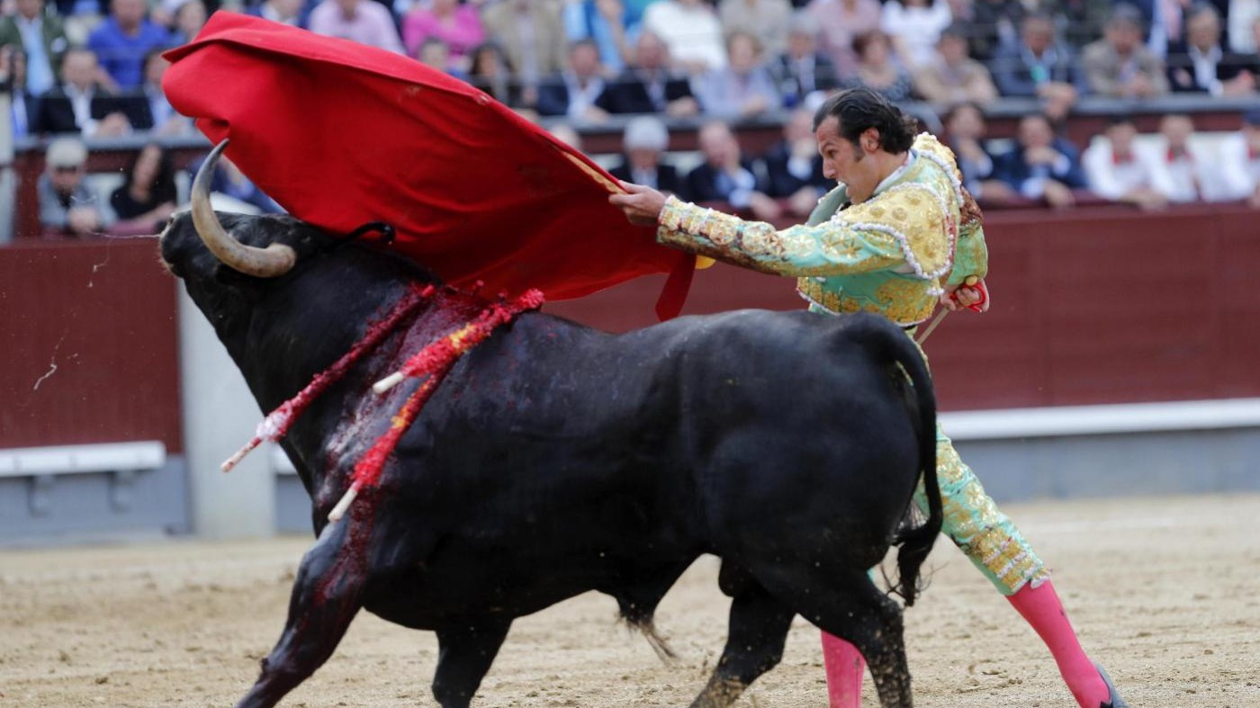 FOTO – San Isidro, il torero David Mora durante un combattimento