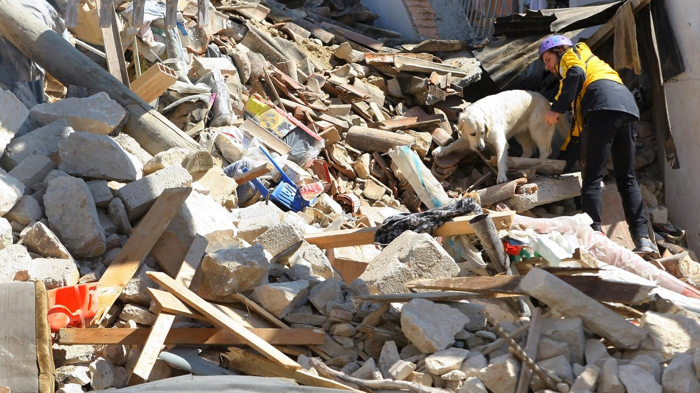 Terremoto, cosa fare con gli animali: portateli con voi, no catene