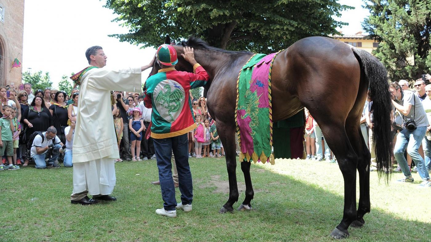 FOTO Palio di Siena, la benedizione del cavallo del Drago