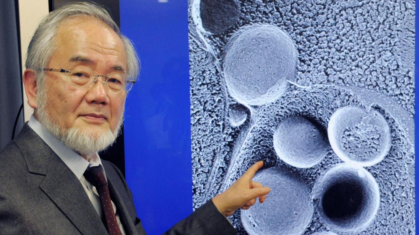 Nobel Medicina al giapponese Ohsumi: scoprì l’autofagia