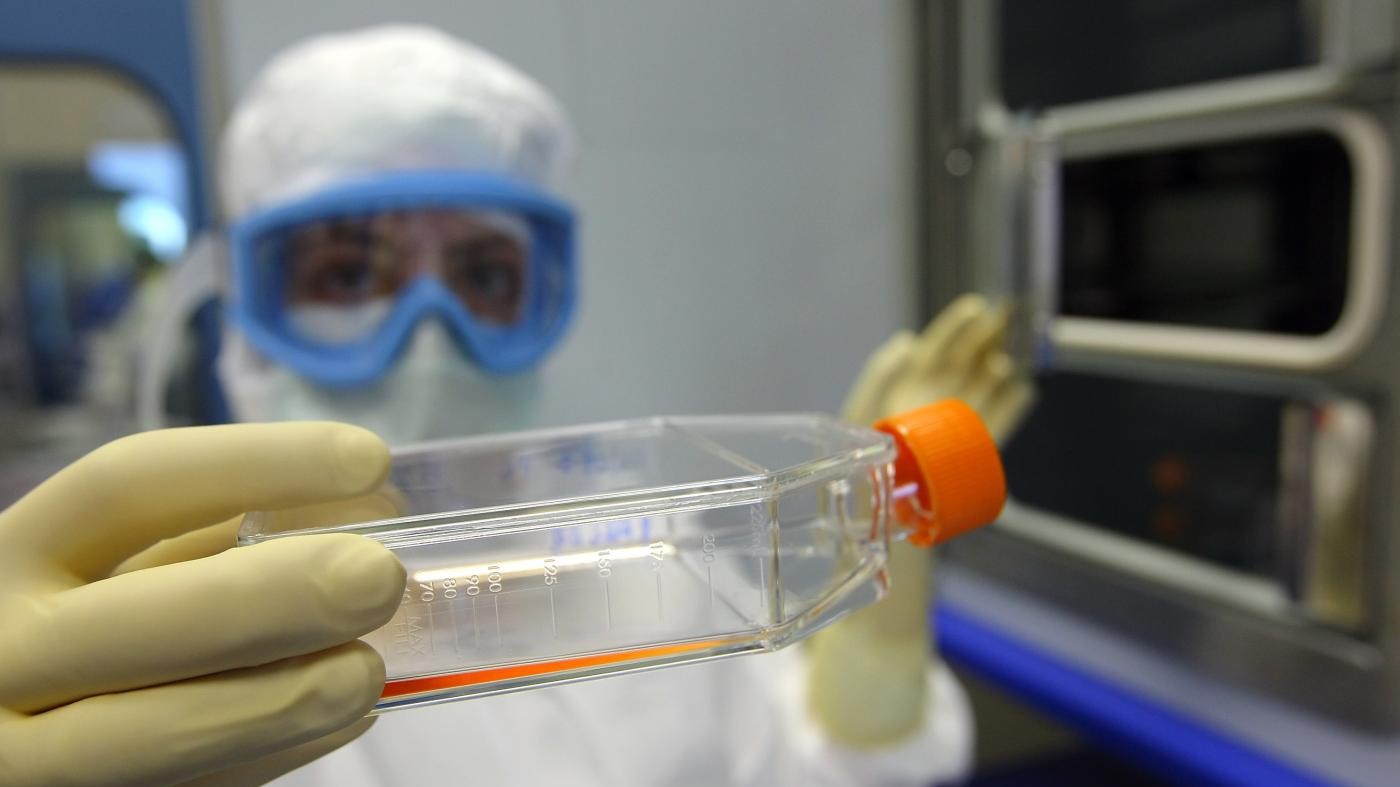 Contro psoriasi anticorpo monoclonale efficace per 8 su 10