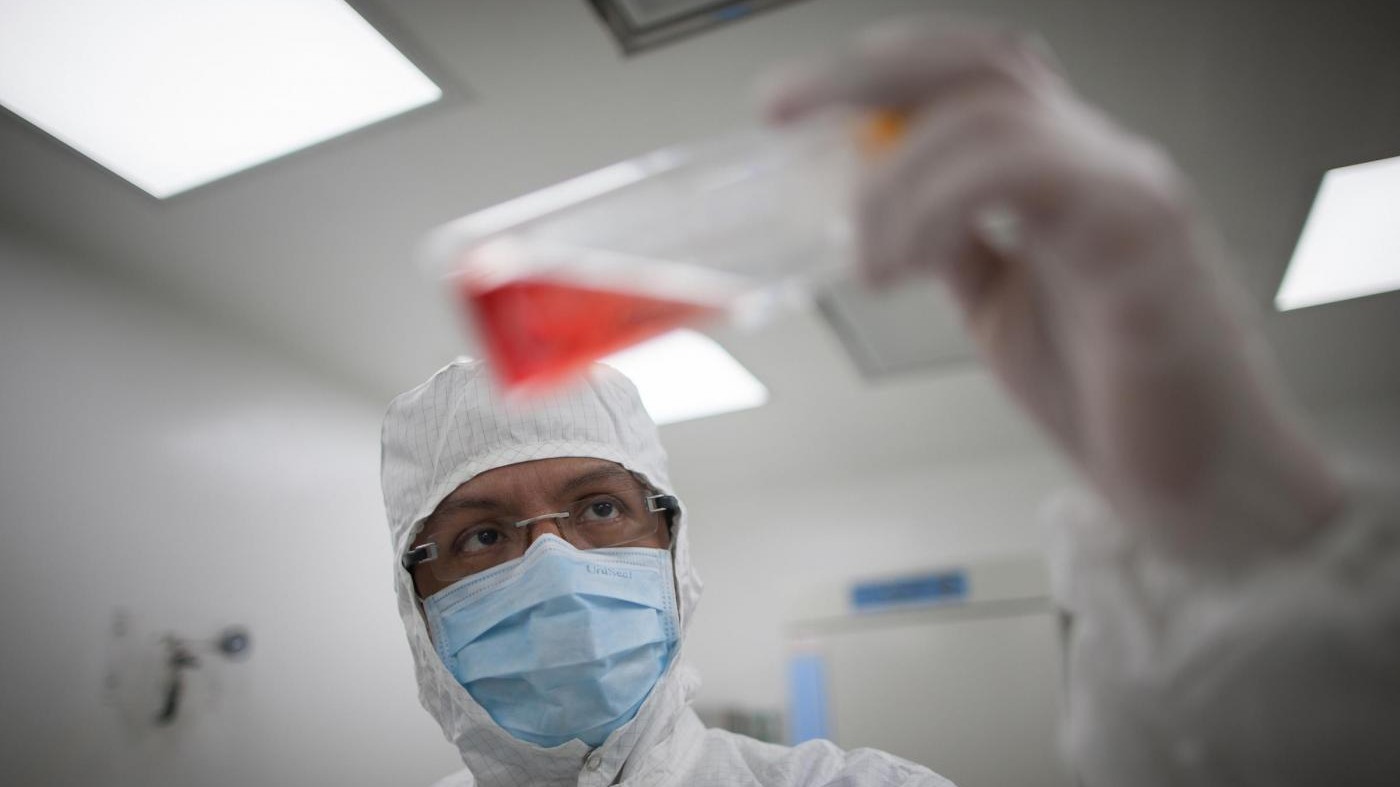 Scoperta relazione tra microbi dell’intestino e Alzheimer