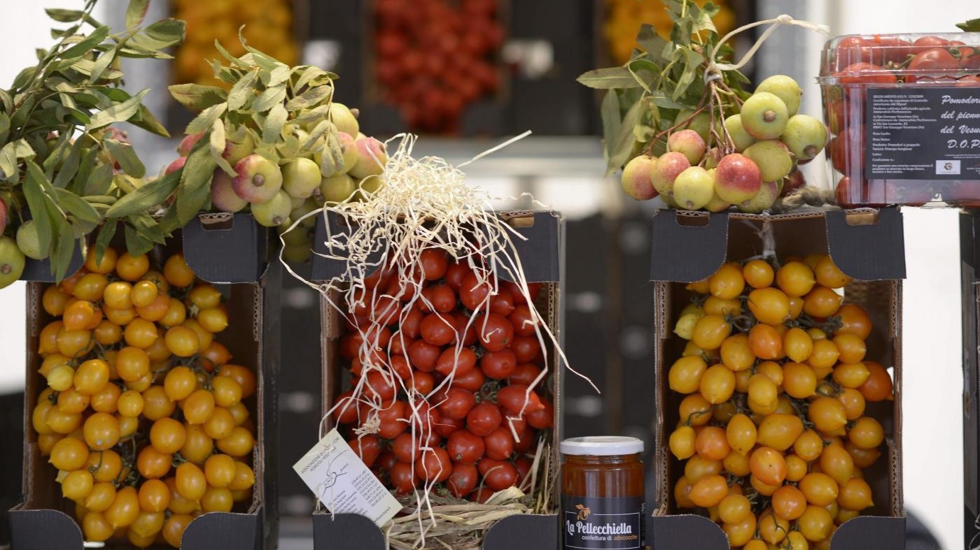 Salone del Gusto, ecco i dieci prodotti da non perdere
