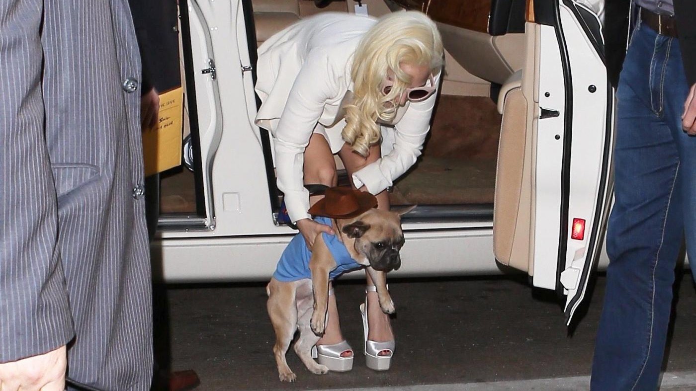 Lady Gaga fashion e affettuosa con il cagnolino in aeroporto