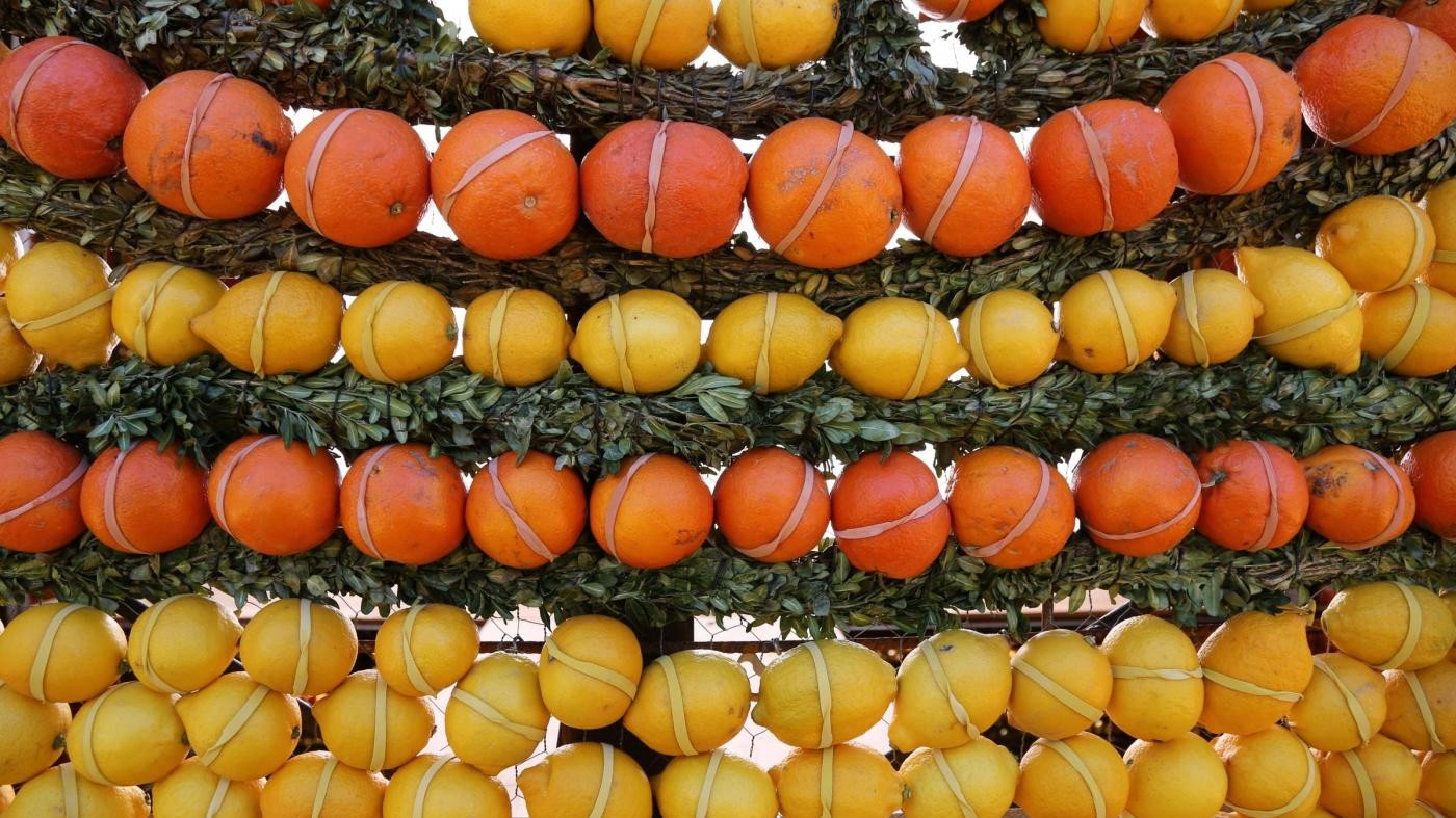 Agrumi contro malattie causate da obesità: lo studio brasiliano