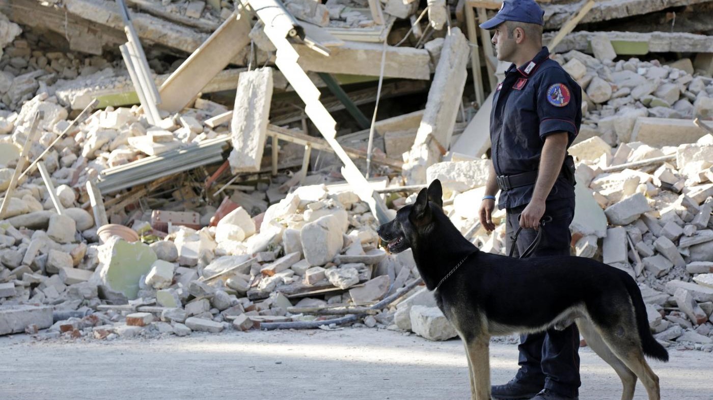 Terremoto, Enpa: Oltre 200 animali soccorsi dopo sisma